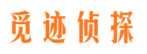 带岭市婚姻出轨调查